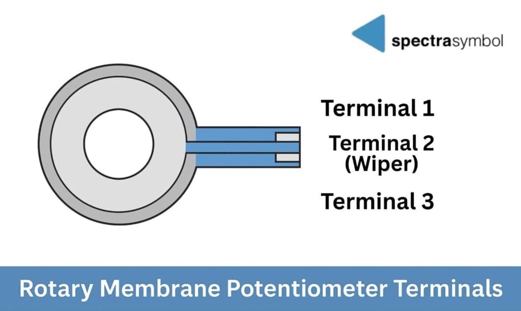Diagram of a ring-shaped rotary membrane potentiometer with a flat tail labeled Terminal 1, Terminal 2 (Wiper), and Terminal 3.